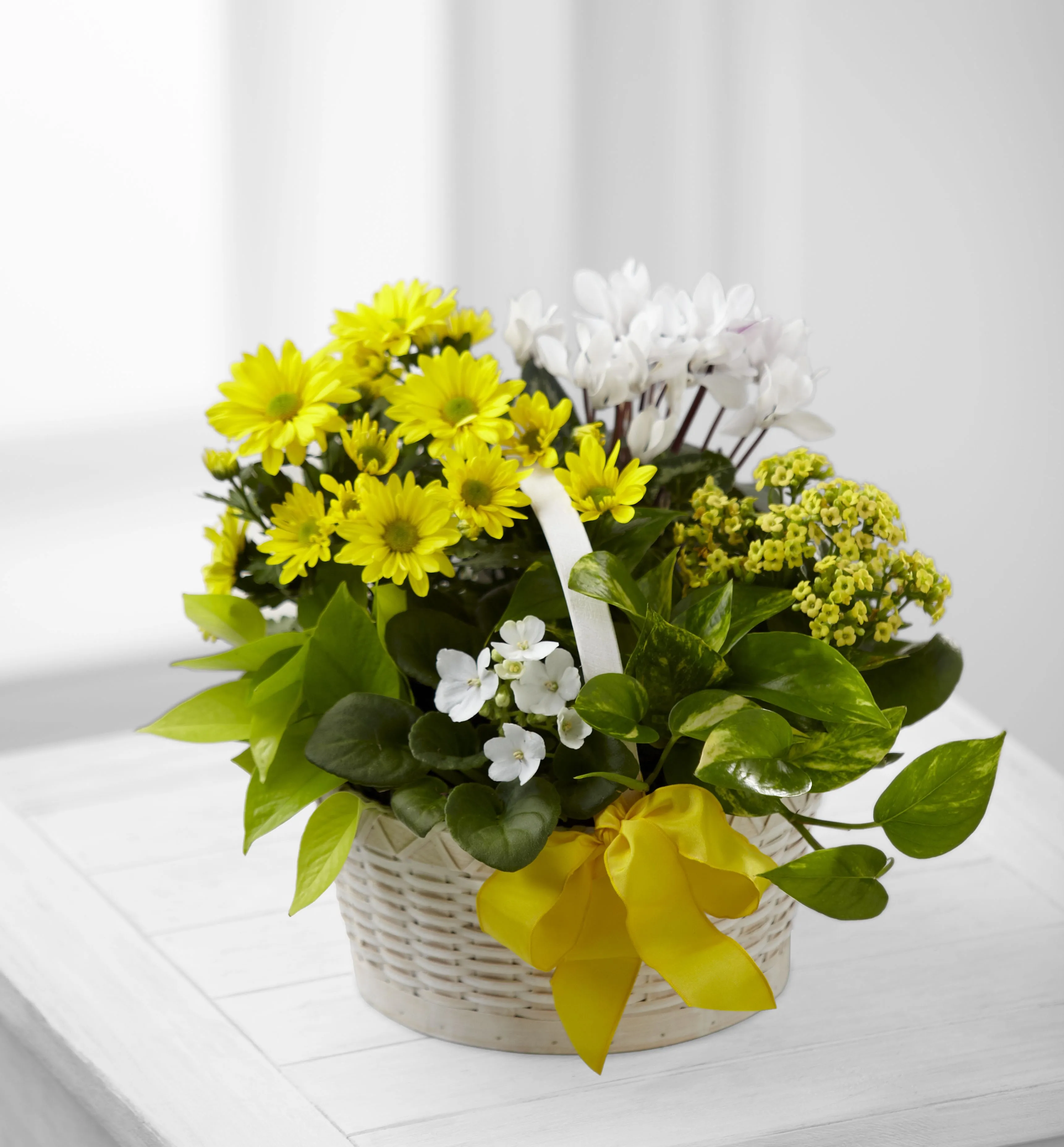 C22-4888 A Bit of Sunshine™ Basket