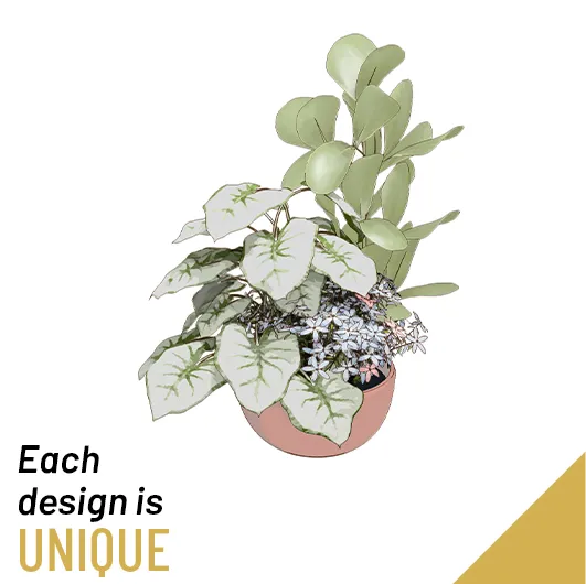 Arrangement of Plants in a Bowl - Greece