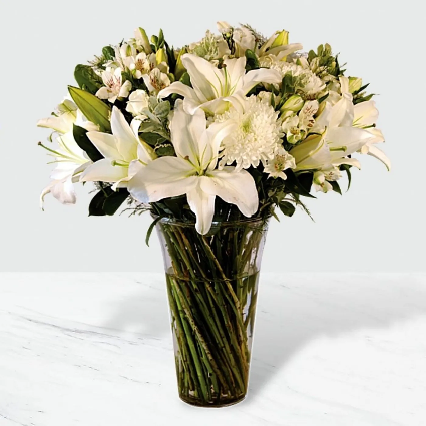 Elegance - South Africa