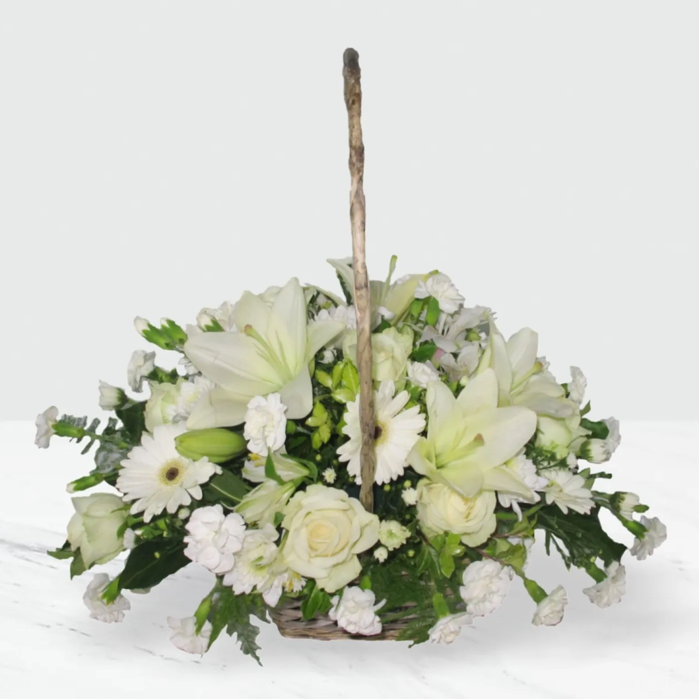 Bianca - South Africa