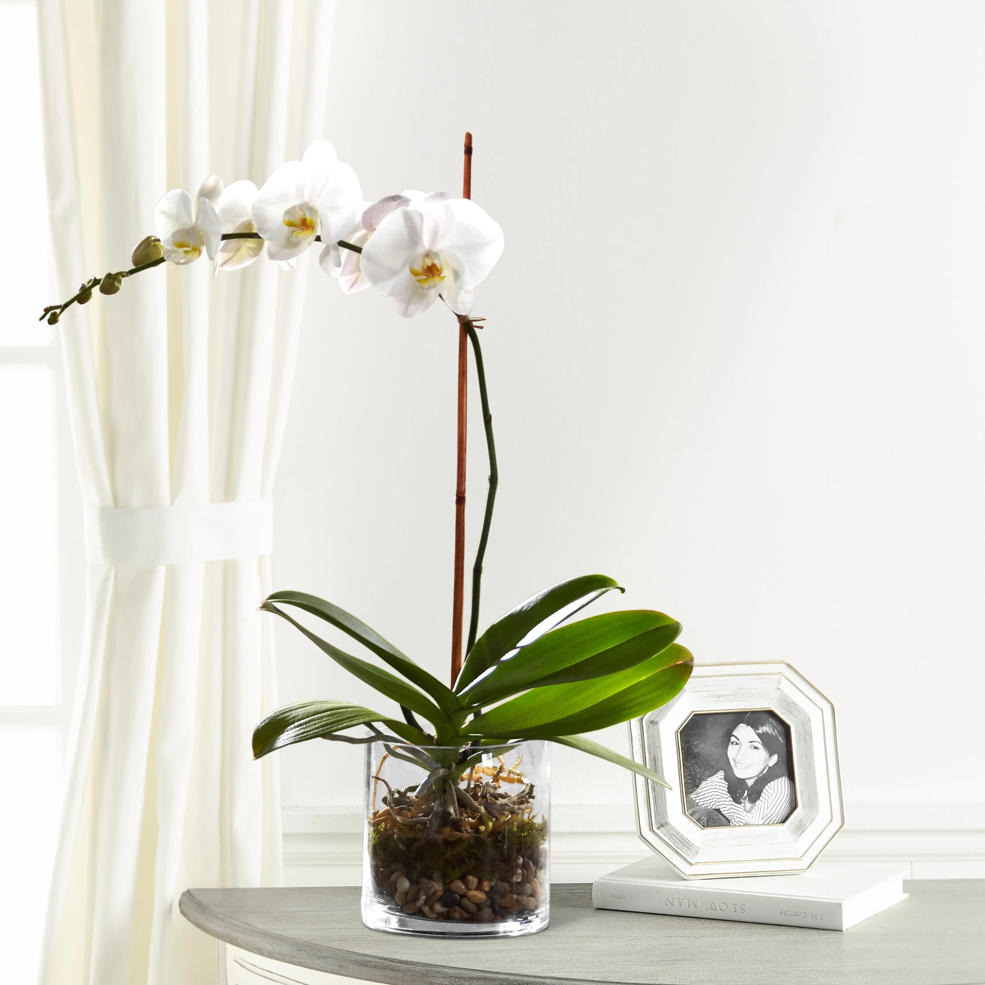 White Orchid Planter - Brazil