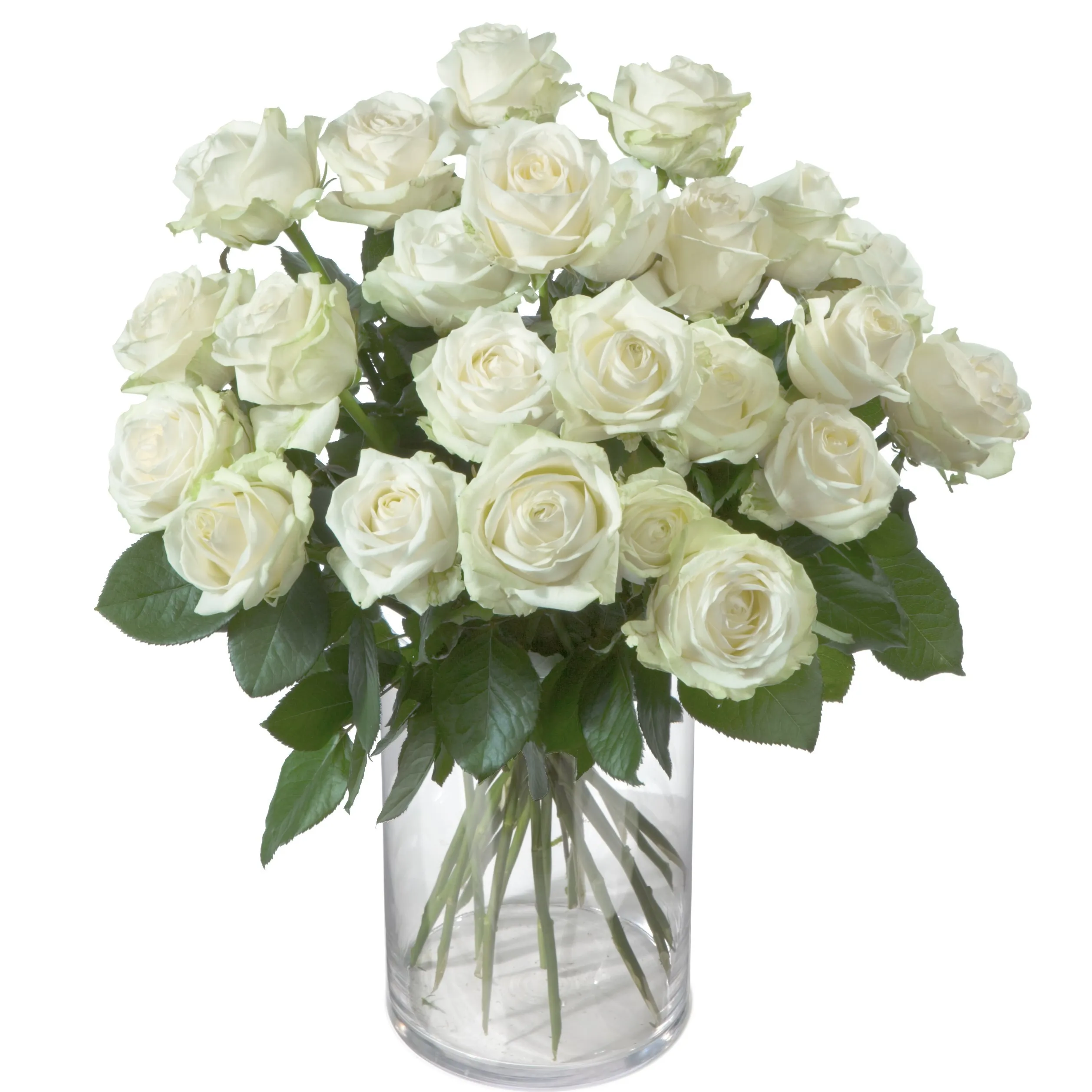 Bukiet białych róż - Gruzja