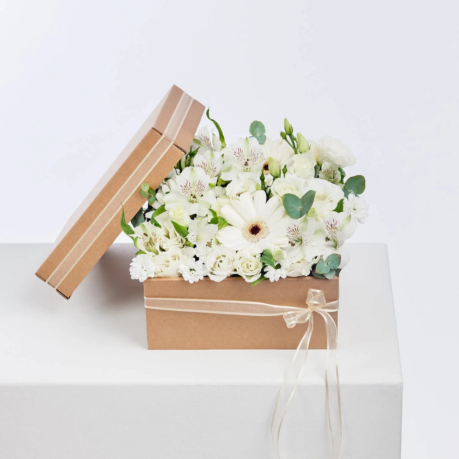White floral dreaming - Czechia