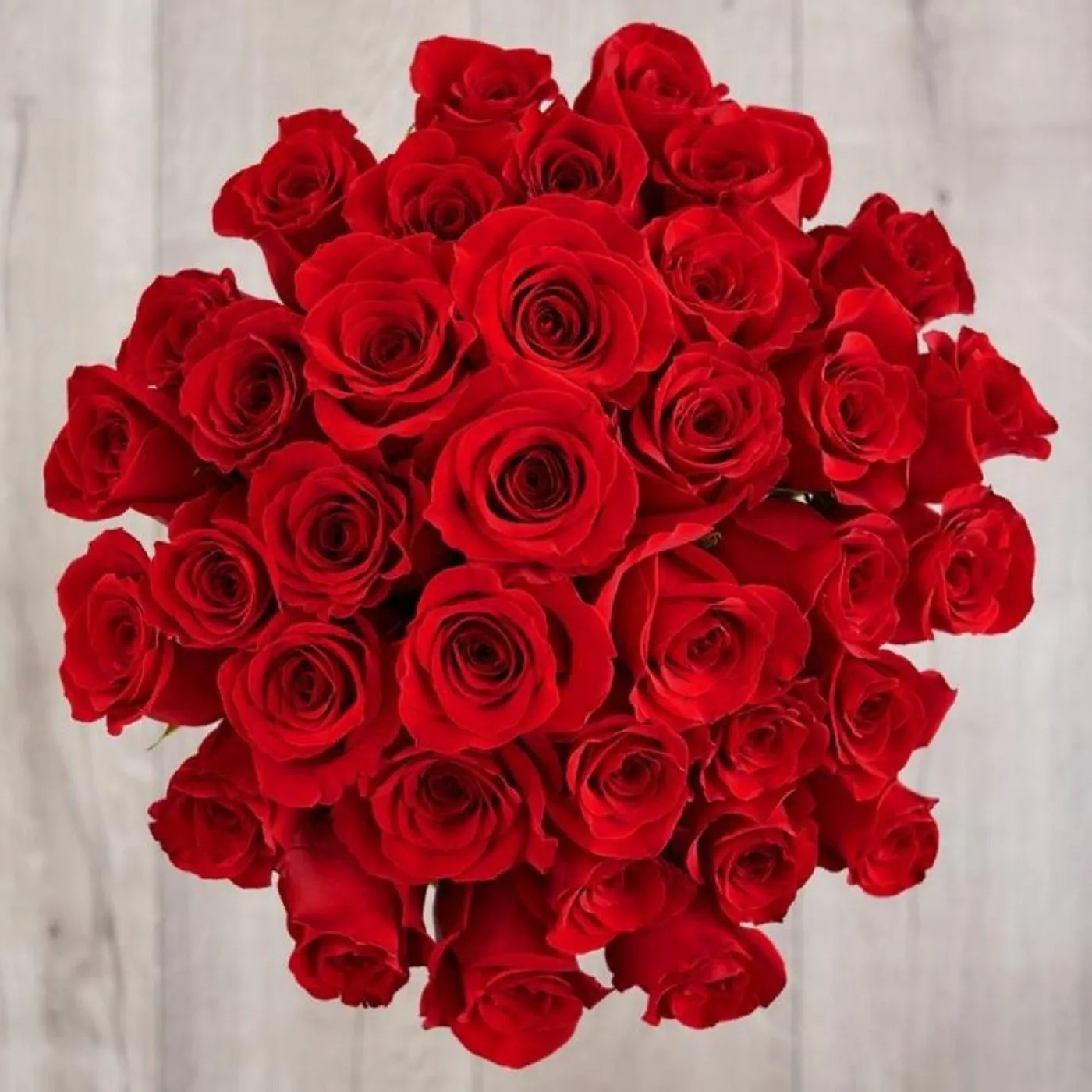 36 Red Roses Bunch - South Africa