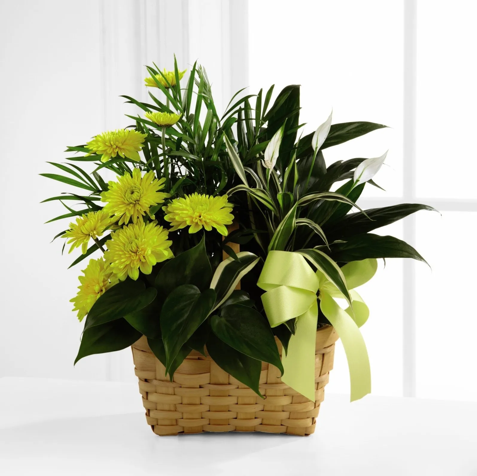 The FTD Loving Light Dishgarden - Taiwan