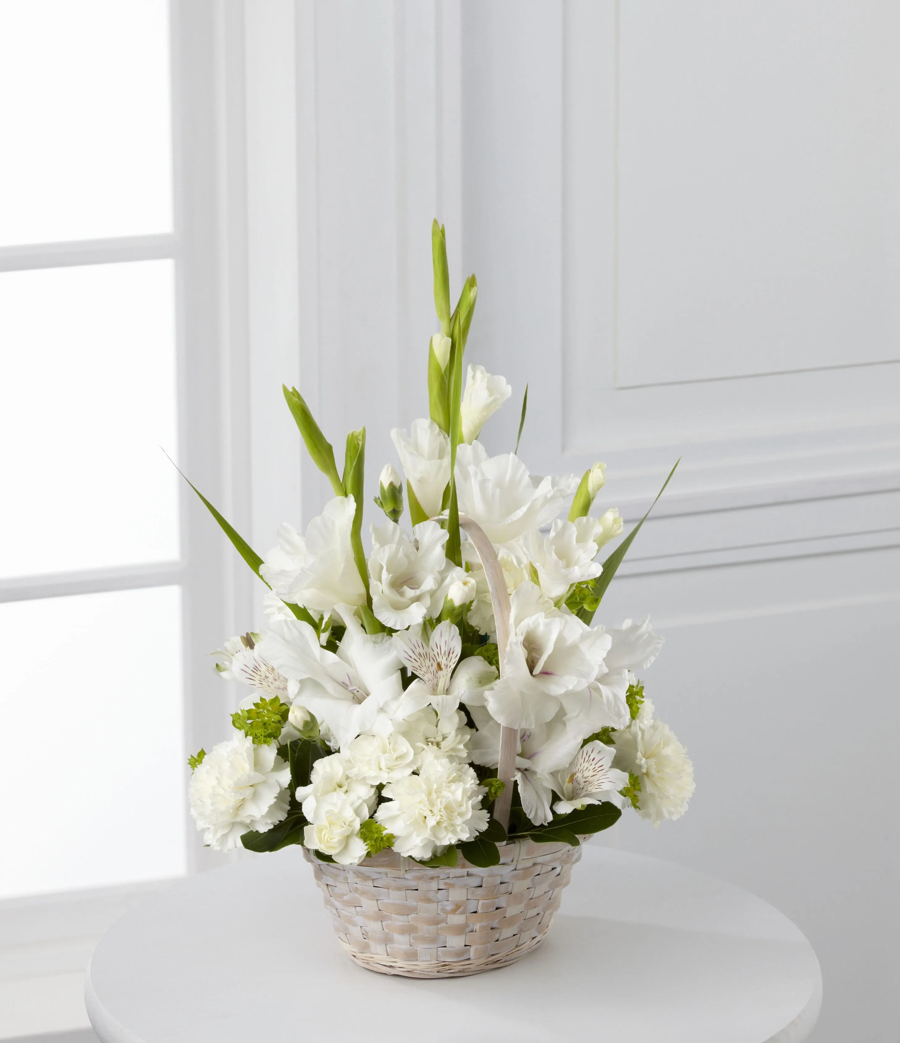 Eternal Affection - Colombia