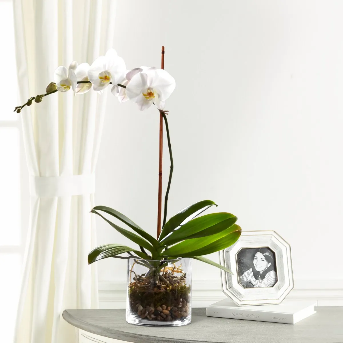 White Orchid Planter - Argentina