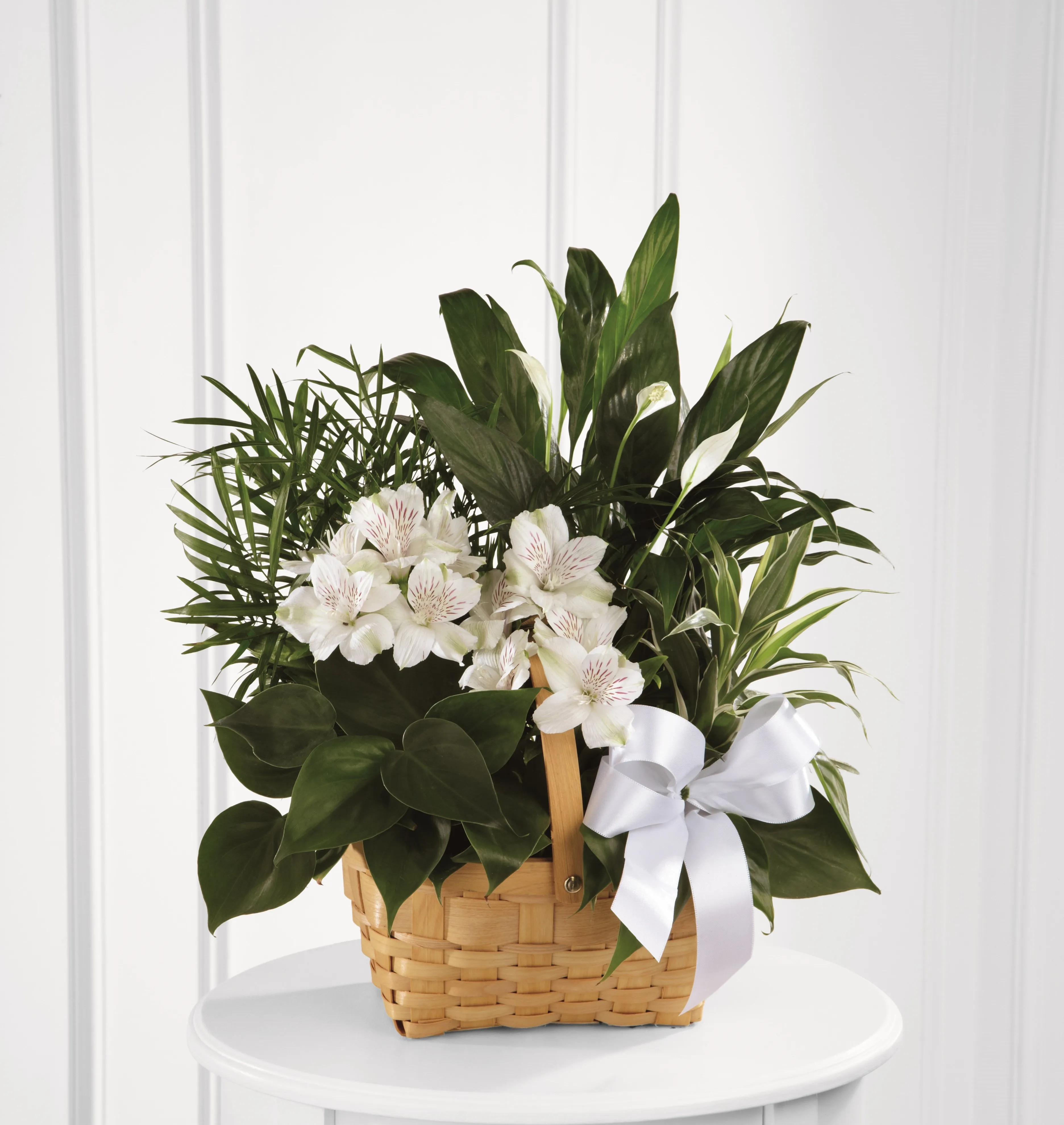 Kompozycja Peace And Serenity Dishgarden