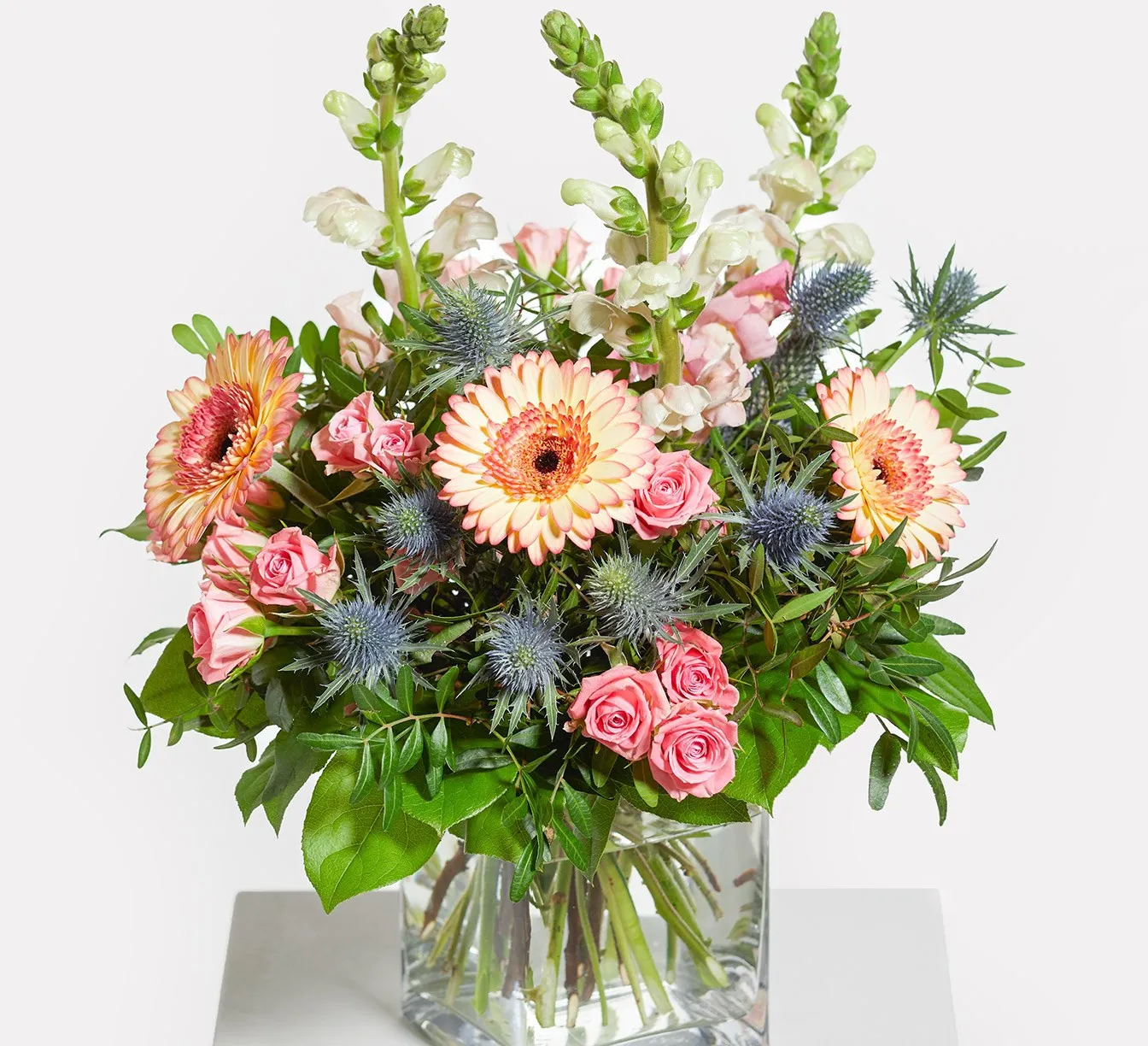 Flower Rain - Germany