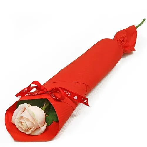 Elegant rose, creamy rose, rose in red paper with ribbon