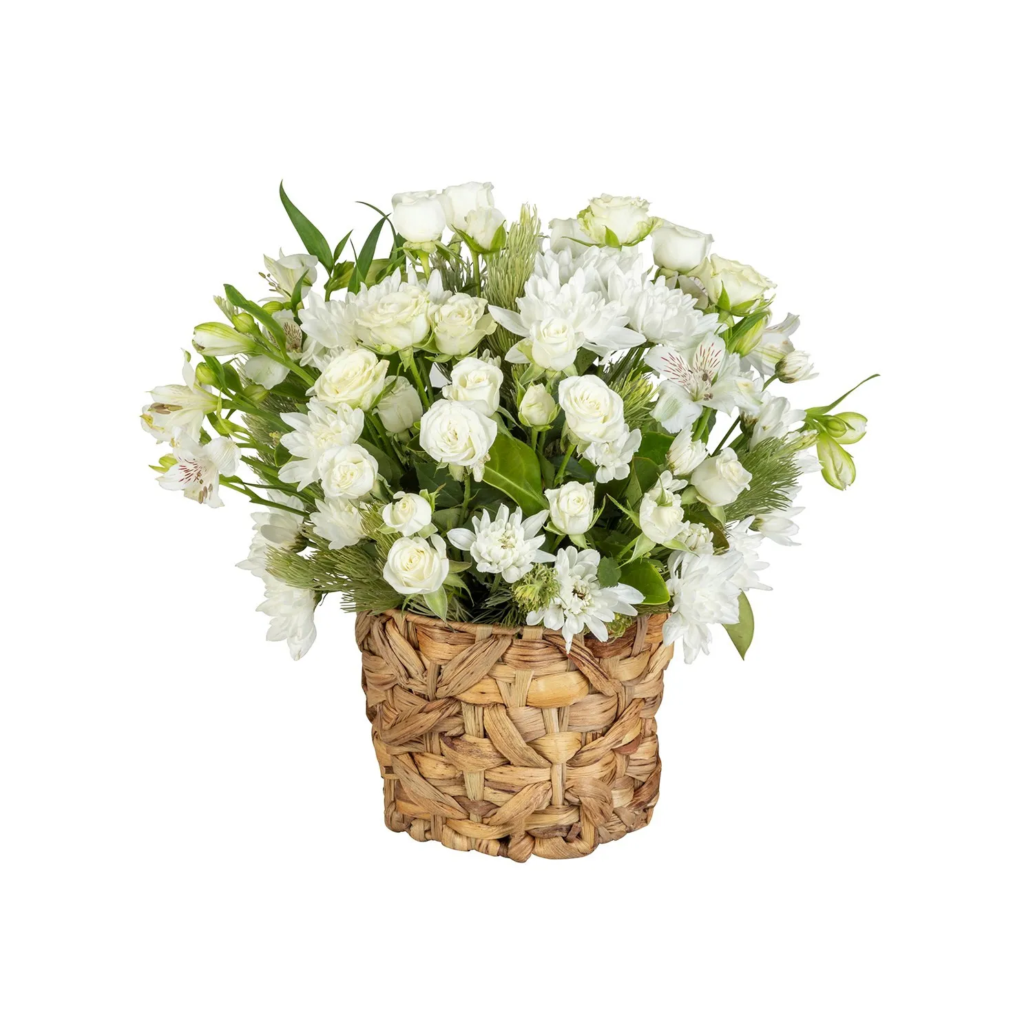 Sympathy Rose Basket - Australia