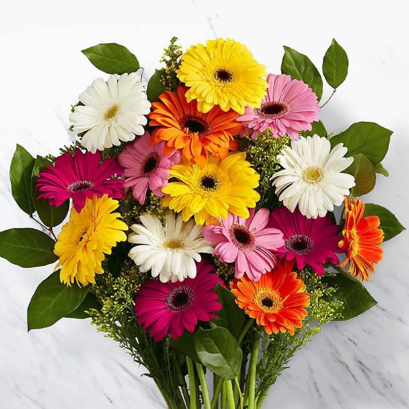 Mixed Gerbera Bunch - Mozambique