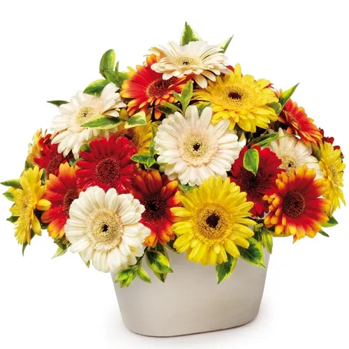 Colourfull fantasy composition, composition in a white vase, colourful gerberas