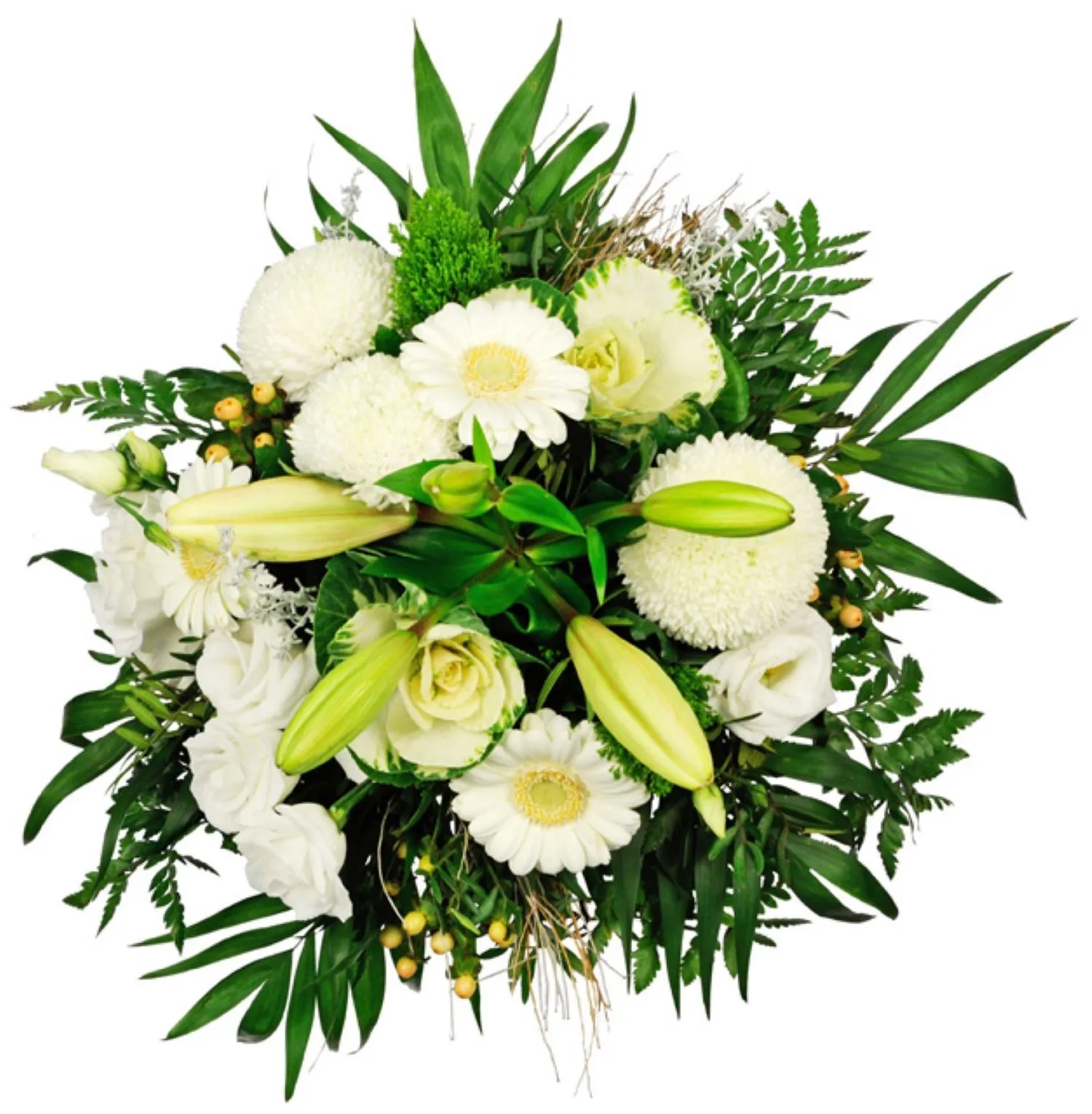 Sara - Bułgaria