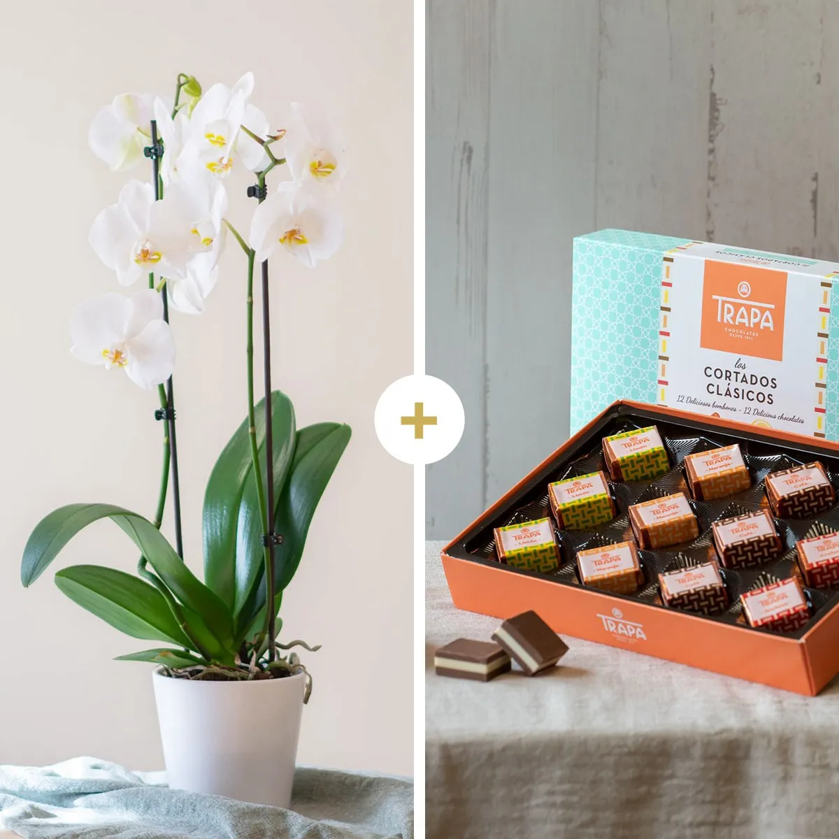 Doce Momento - Portugal