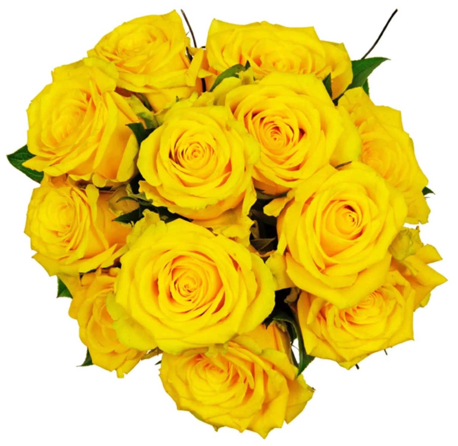 Affection Yellow Roses - Nigeria