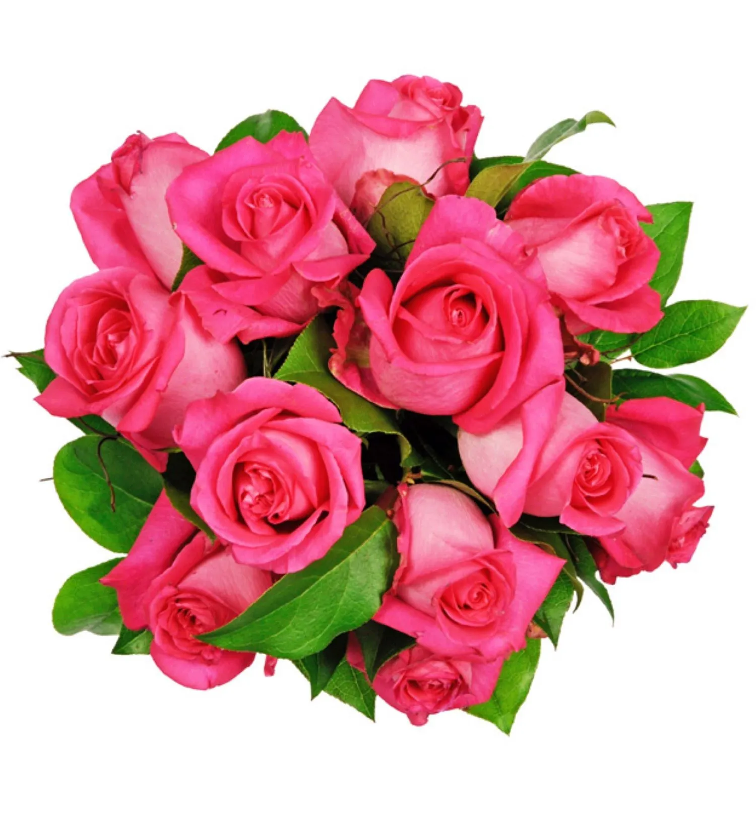 Affection Pink Roses - Nigeria