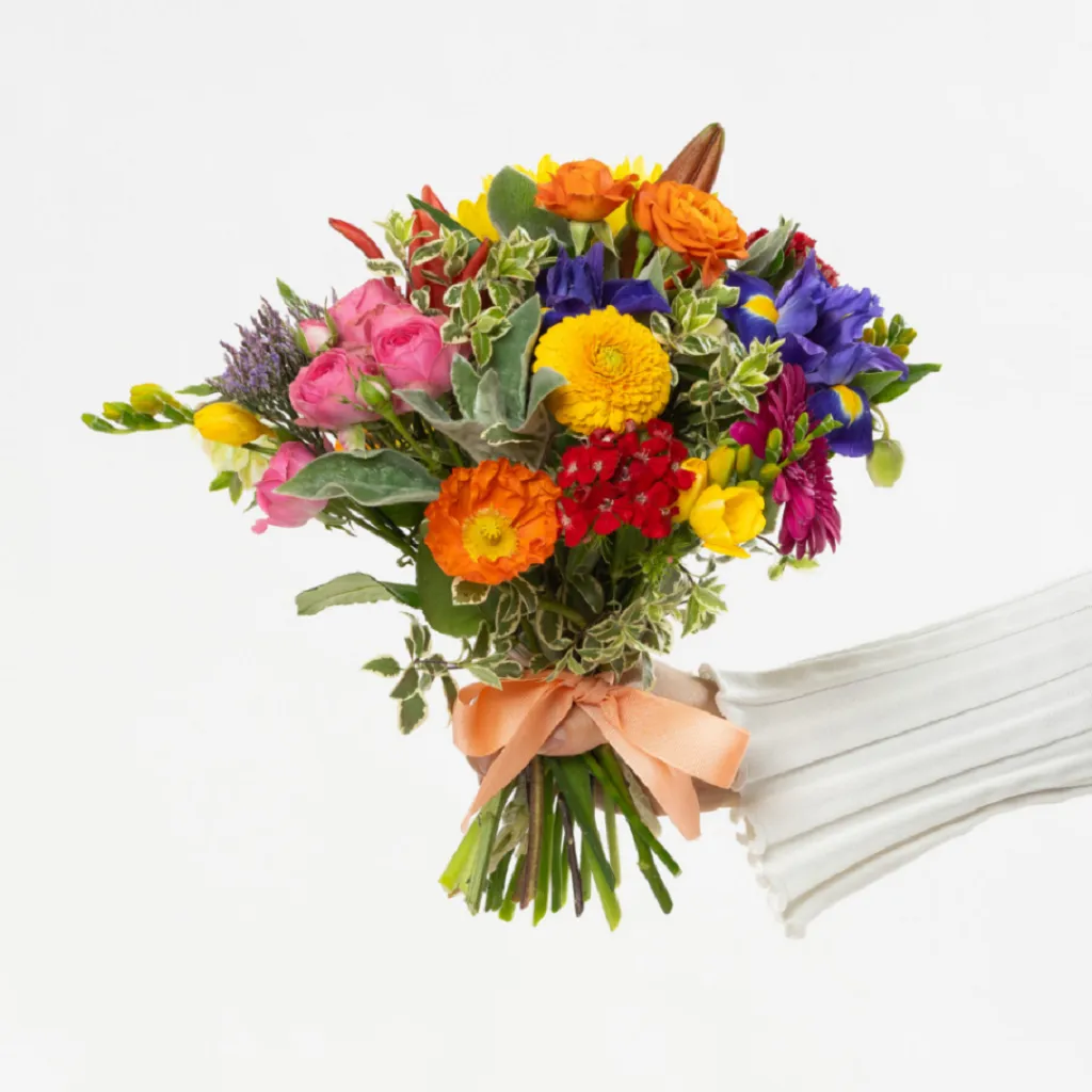 Bright Posy - Nowa Zelandia