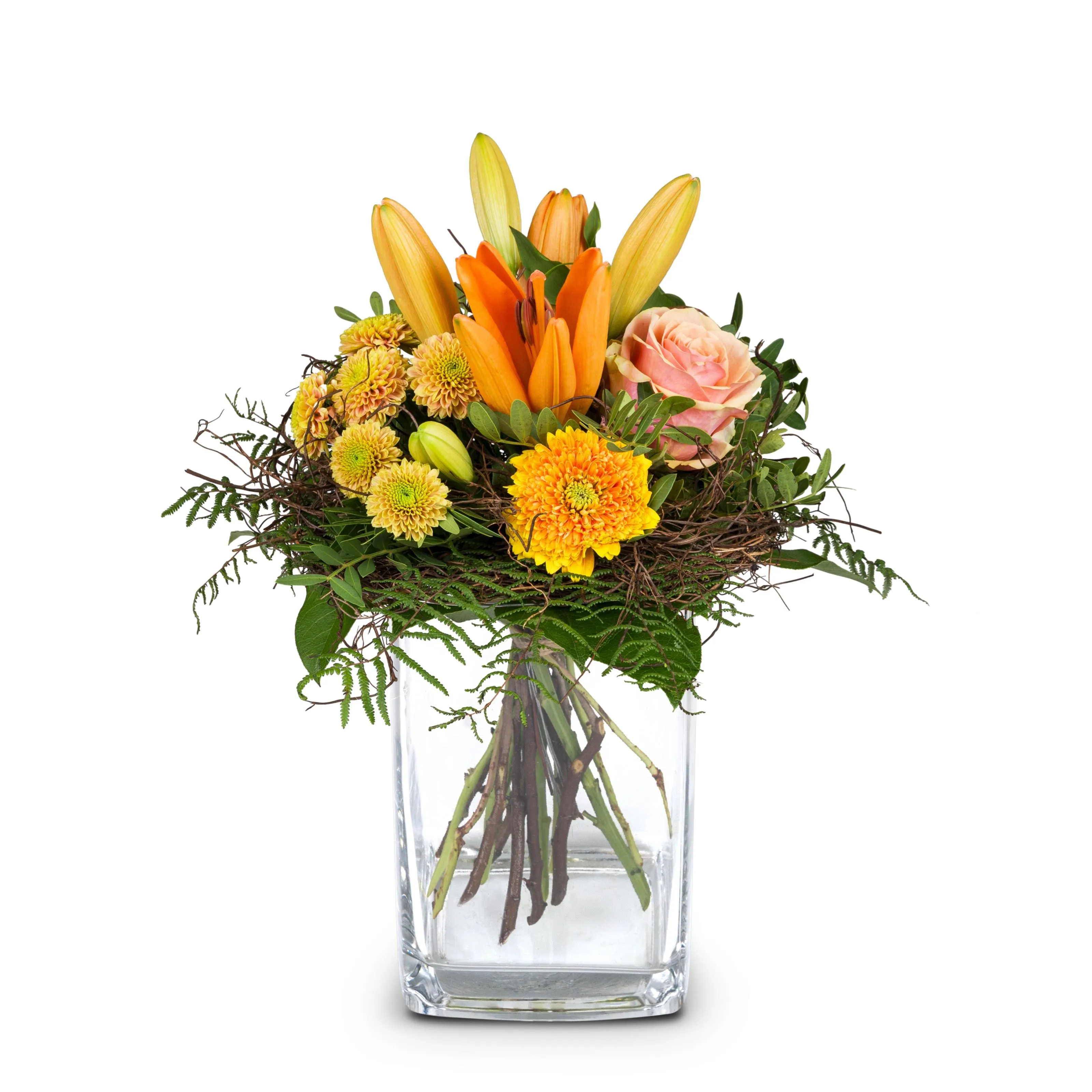 Wonderful Day with Lily - Liechtenstein