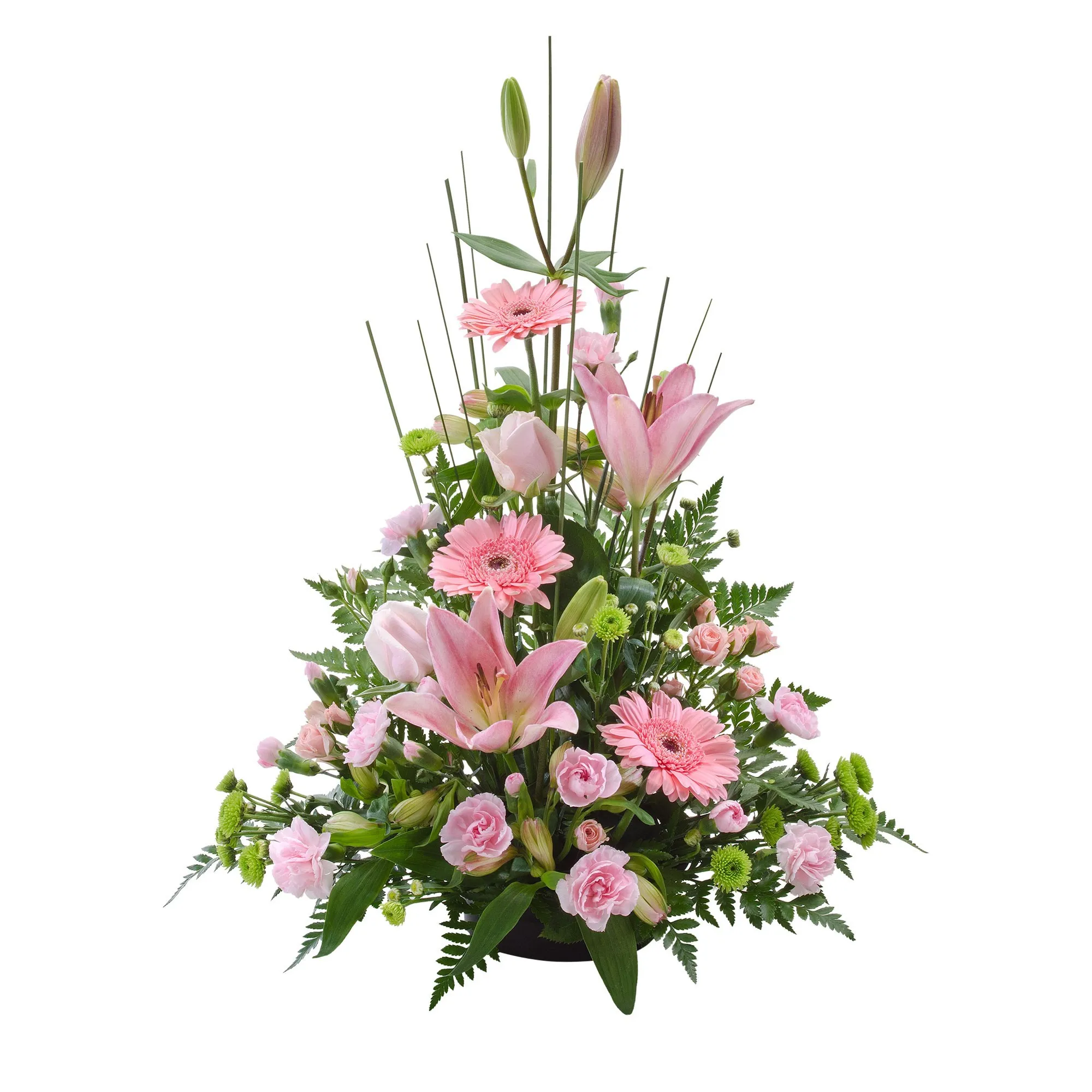 Pink Sympathy - Australia