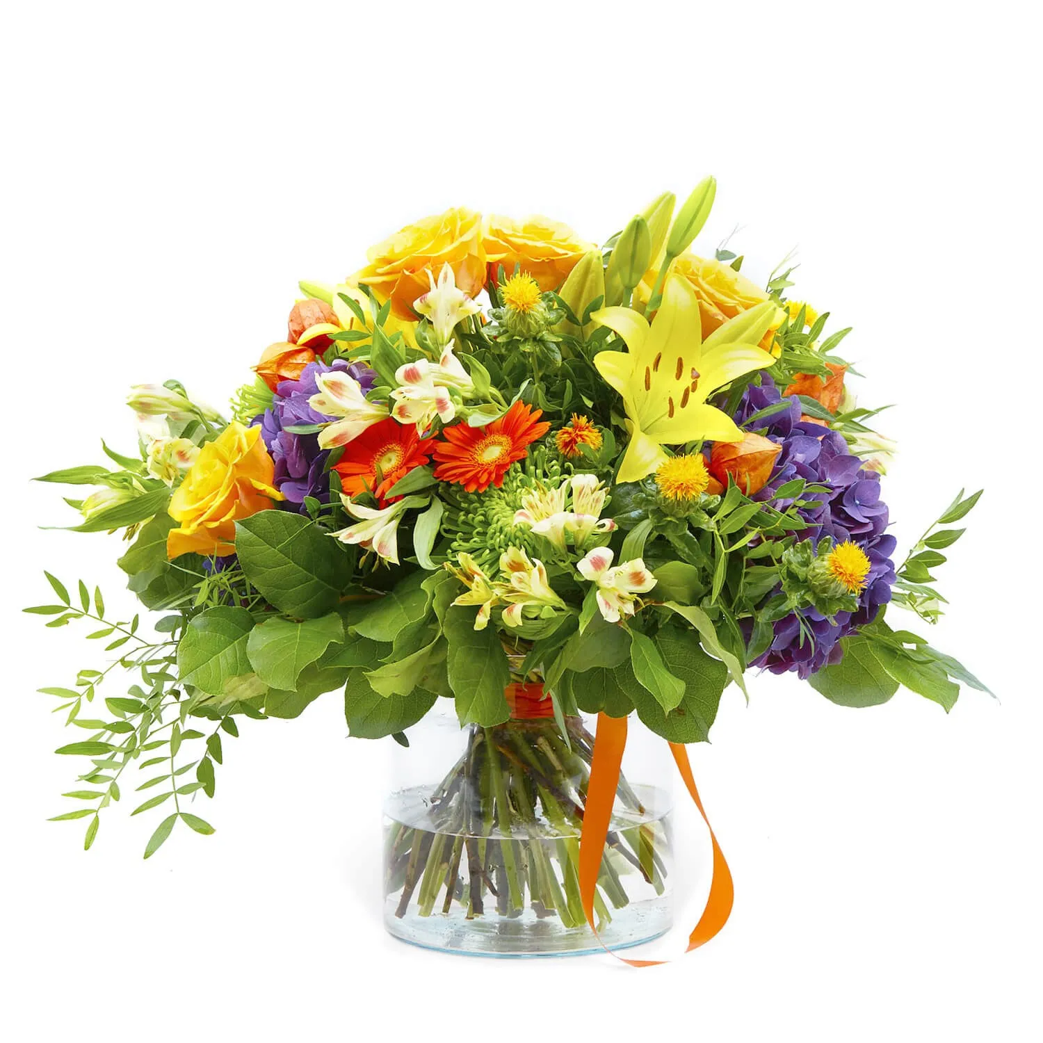 For Those Magnificient Ocassions - Czechia