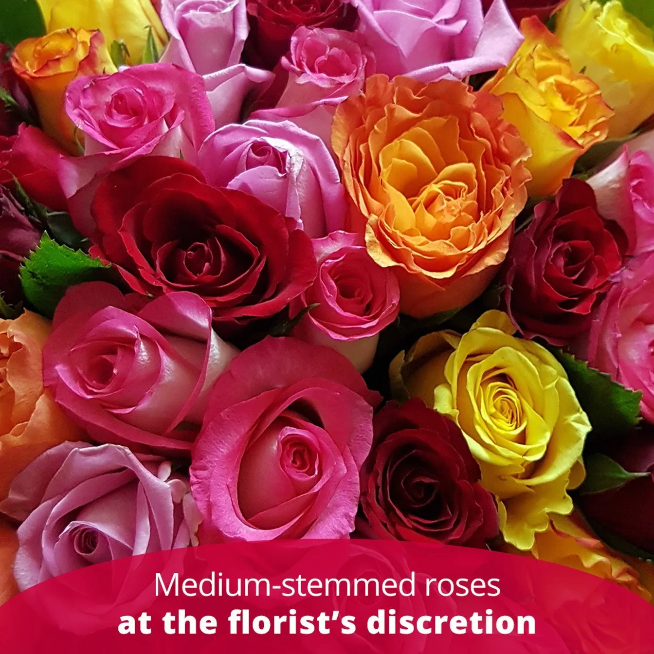 12 ROSES MEDIUM STEM - Spain