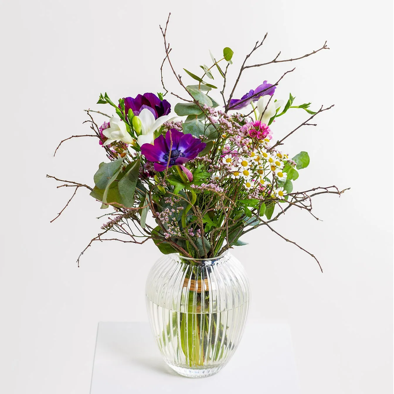 First Morning of Spring - Germany