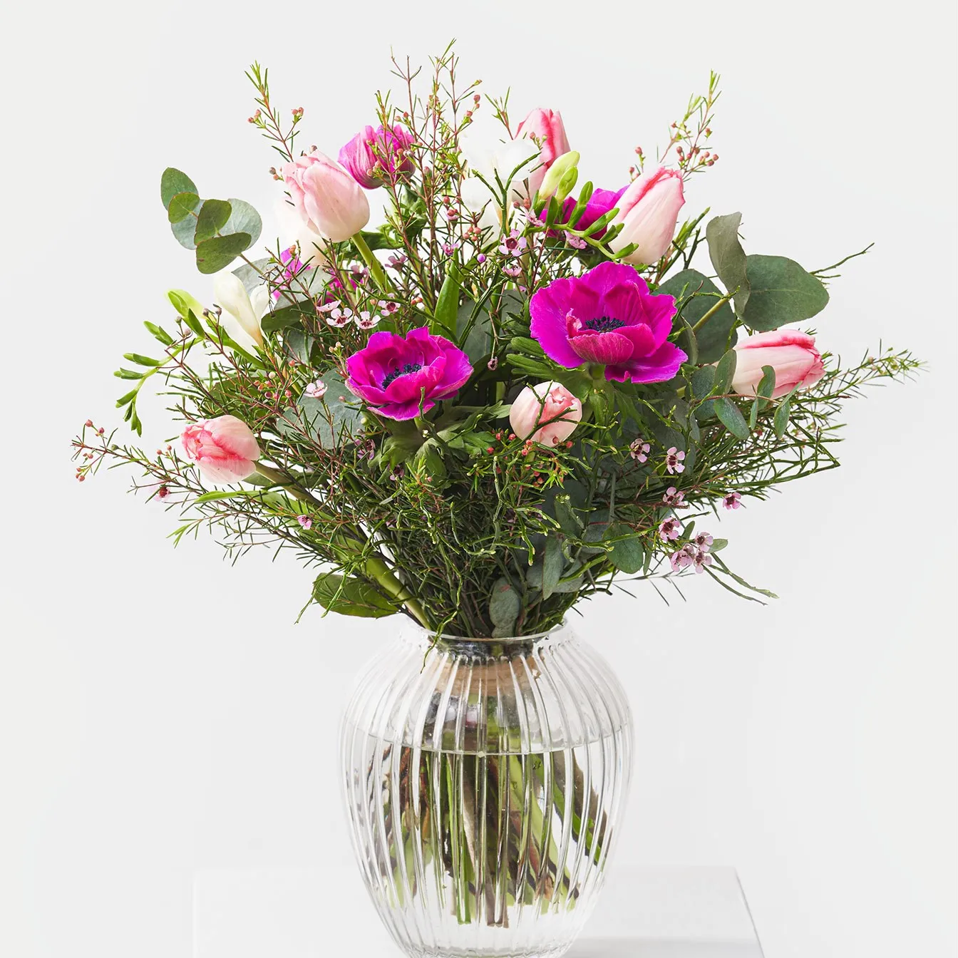 Spring Harbinger - Germany