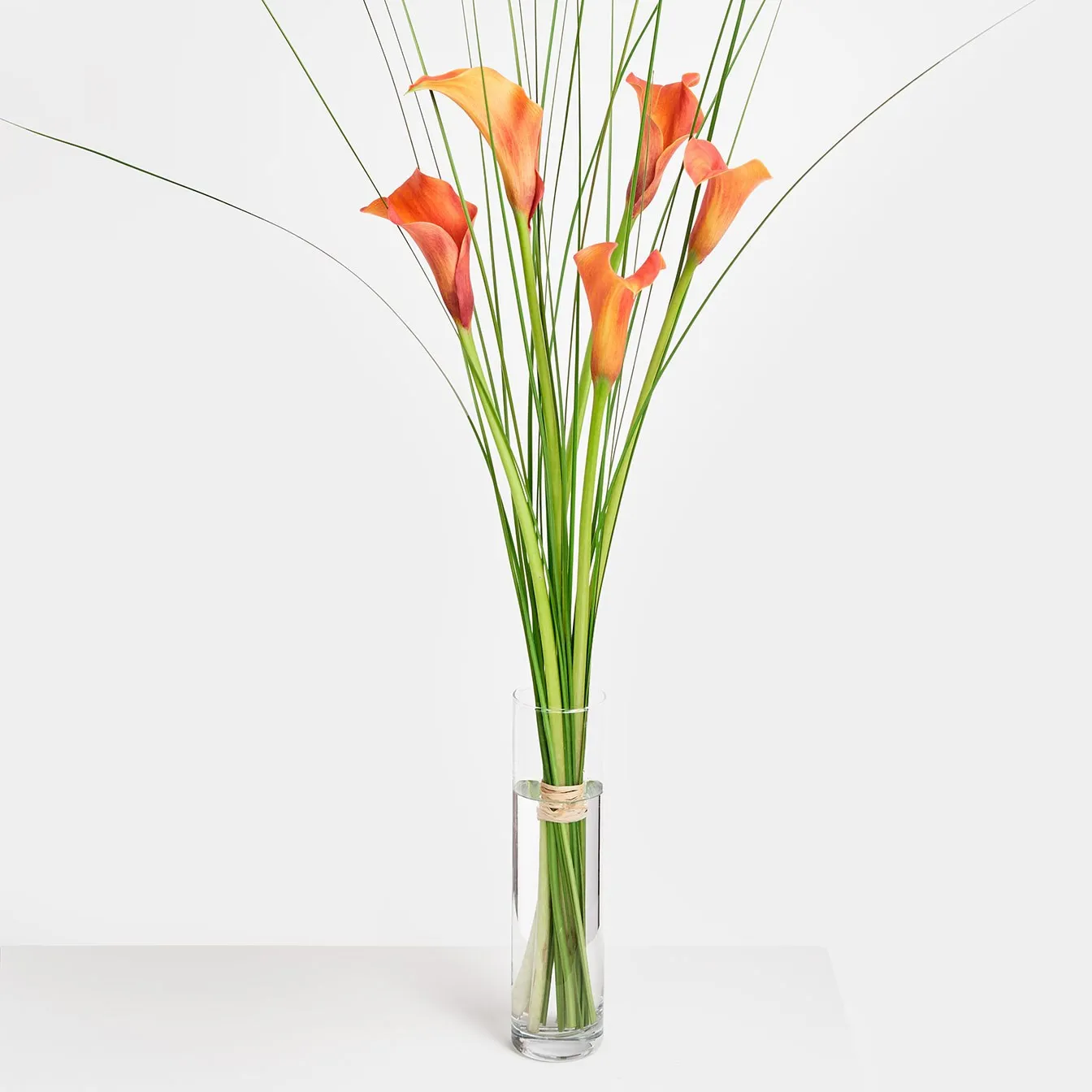 Morning Rouge - Germany