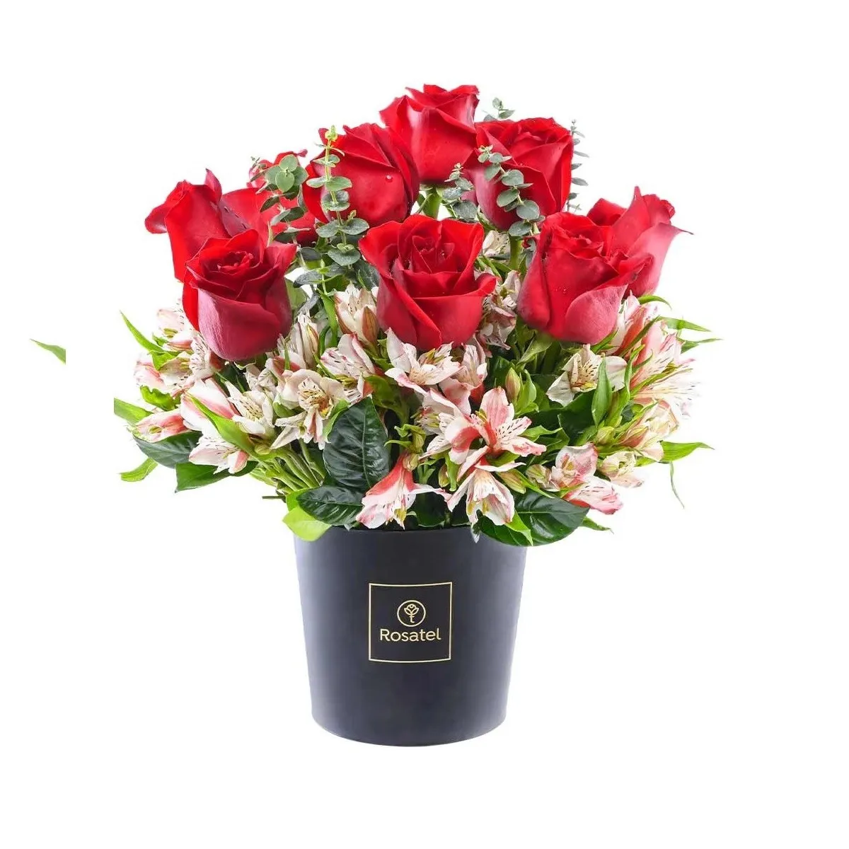 Rosatel Hatbox RR - Peru