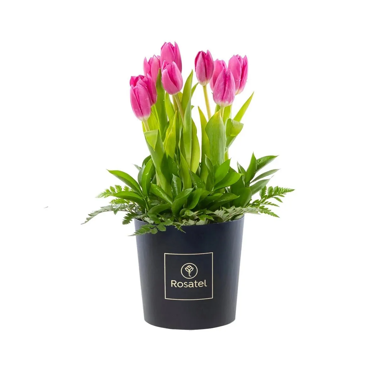 Rosatel Tulip Hatbox - Peru