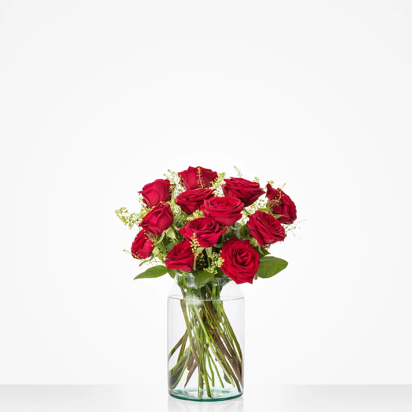 Lovely red roses - Netherlands