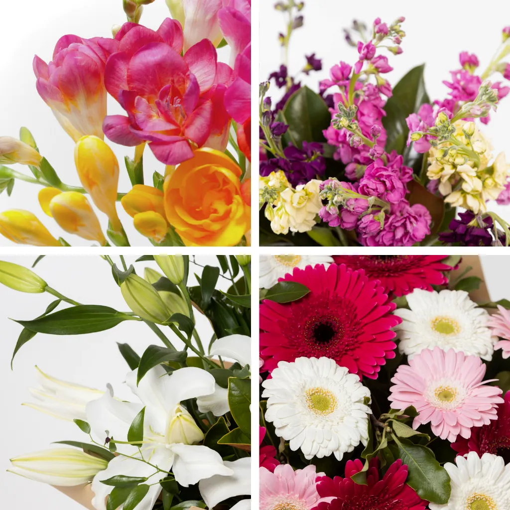 Mixed cut flowers - China