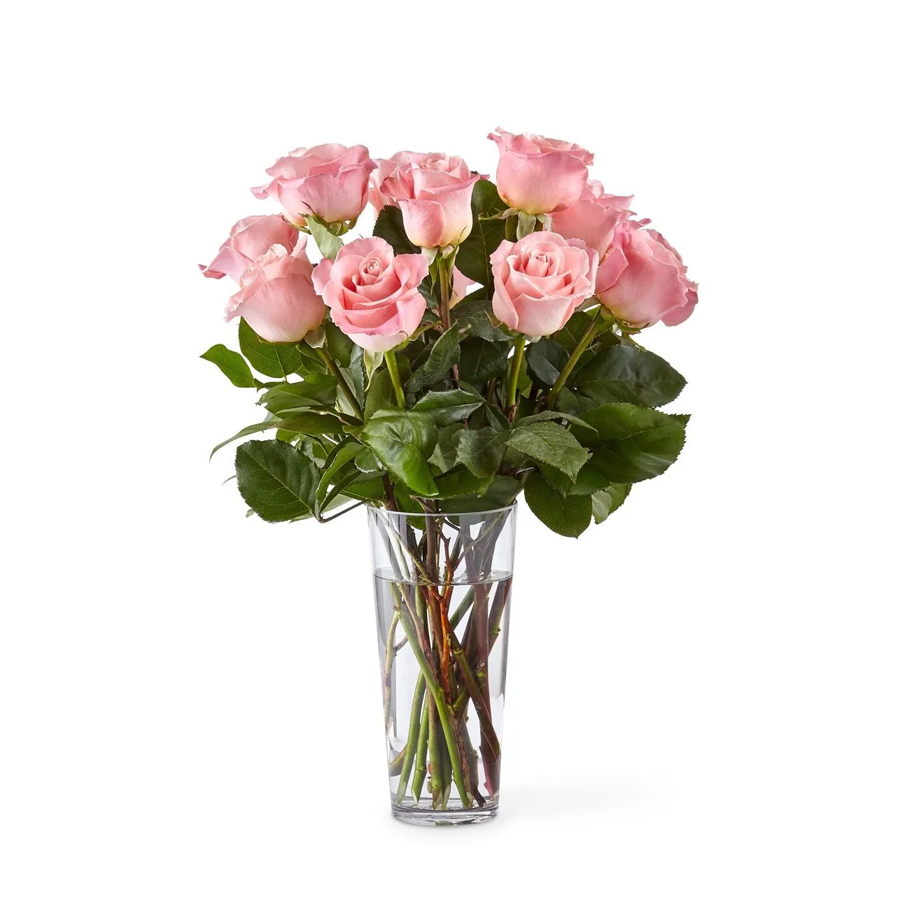 Long Stem Pink Rose Bouquet - Chile