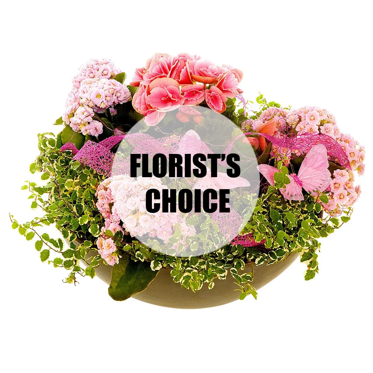 Florist's choice planting in a low bowl - Finland