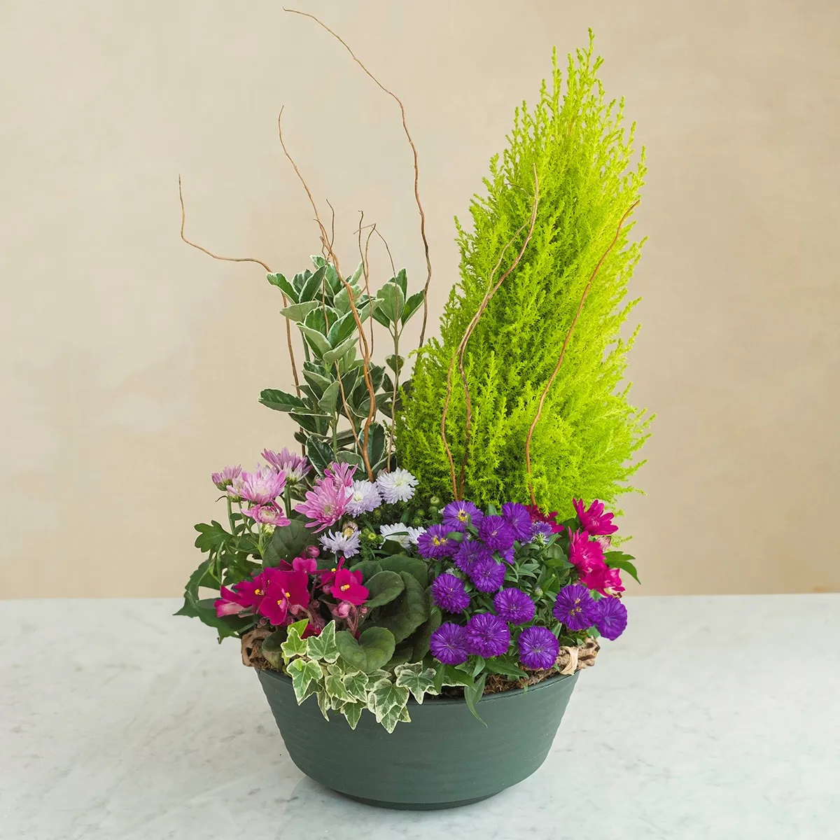 Chemin de douceur - France