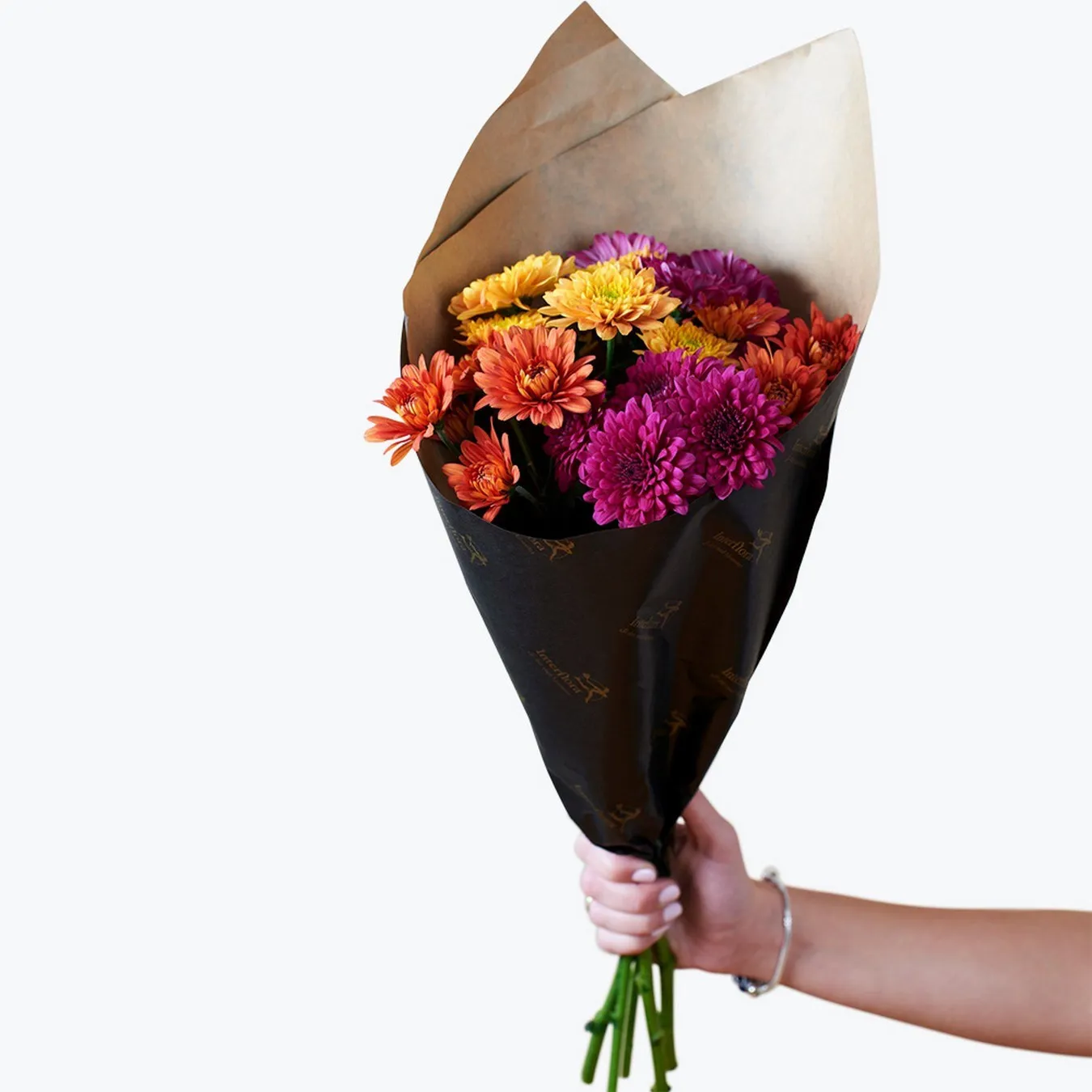 Chrysanthemum for fall Small 240413 - Norway