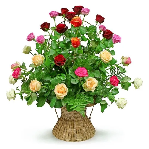 Kompozycja Kolorowy koszyk, 30 kolorowych róż w koszu, kolorowe róże z zielenią dekoracyjną w koszu
