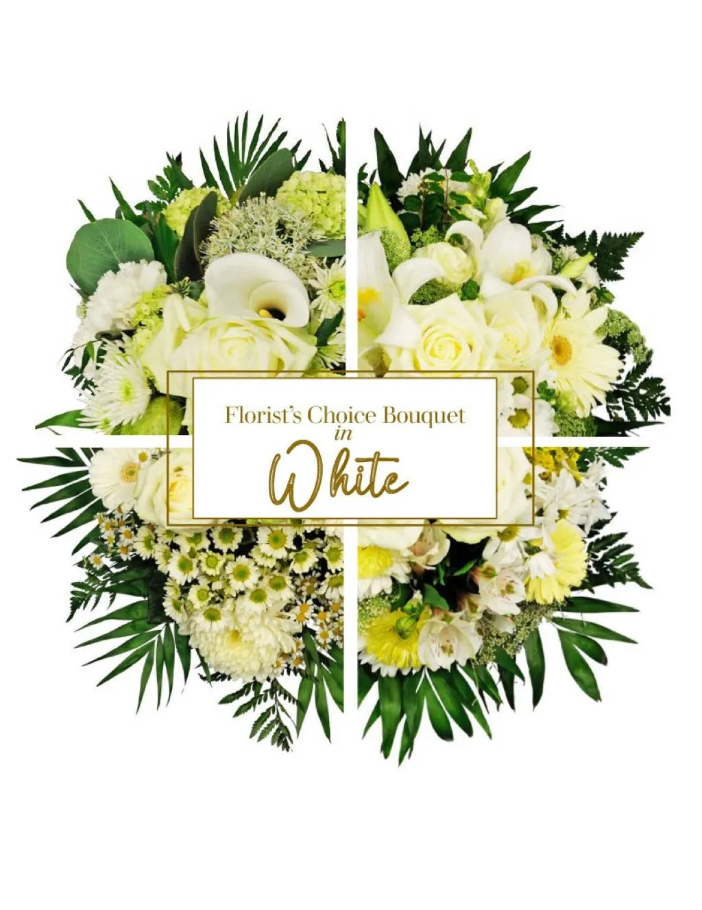 White Blooms - Greece