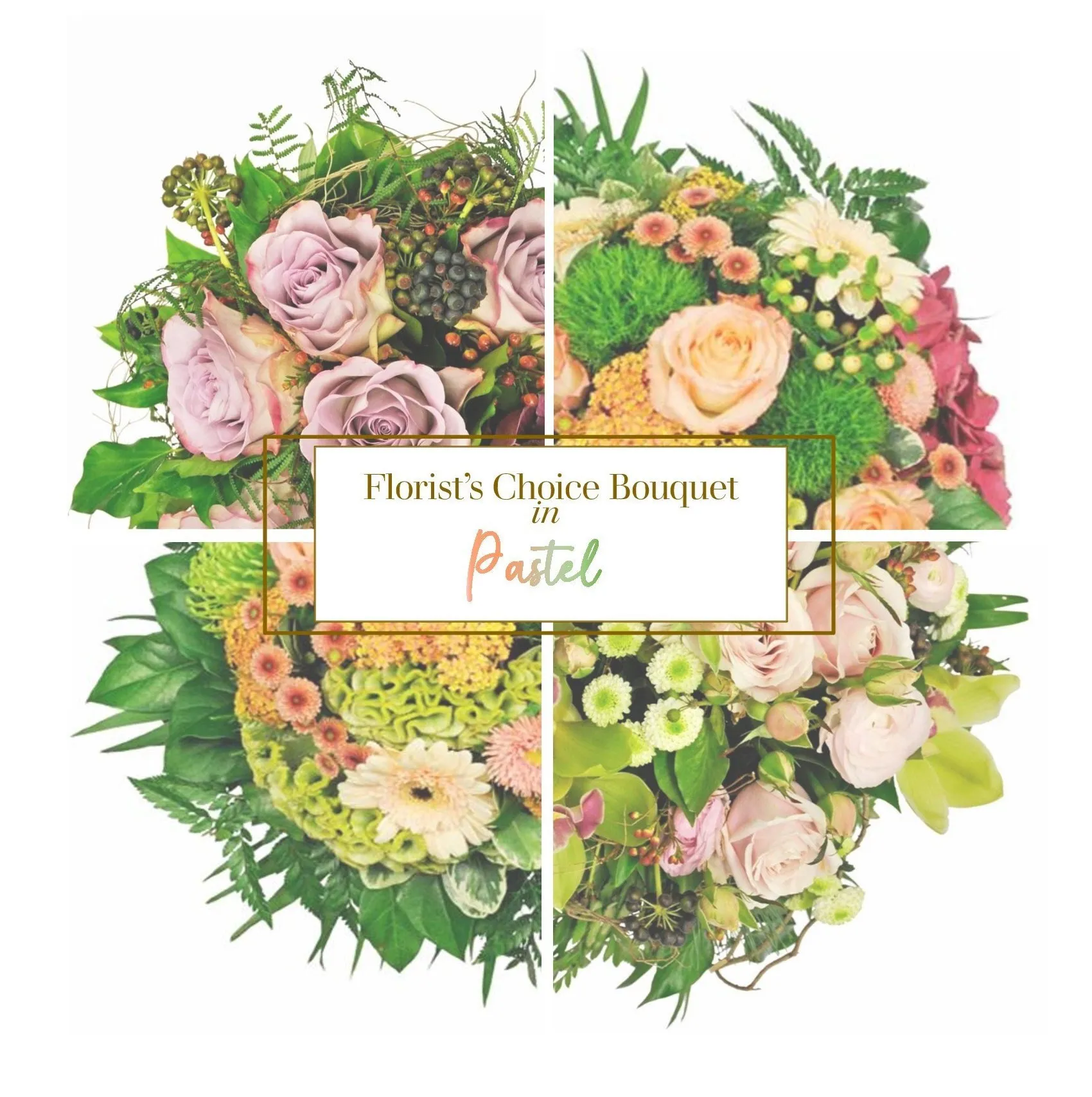 Pastel - Bosnia & Herzegovina