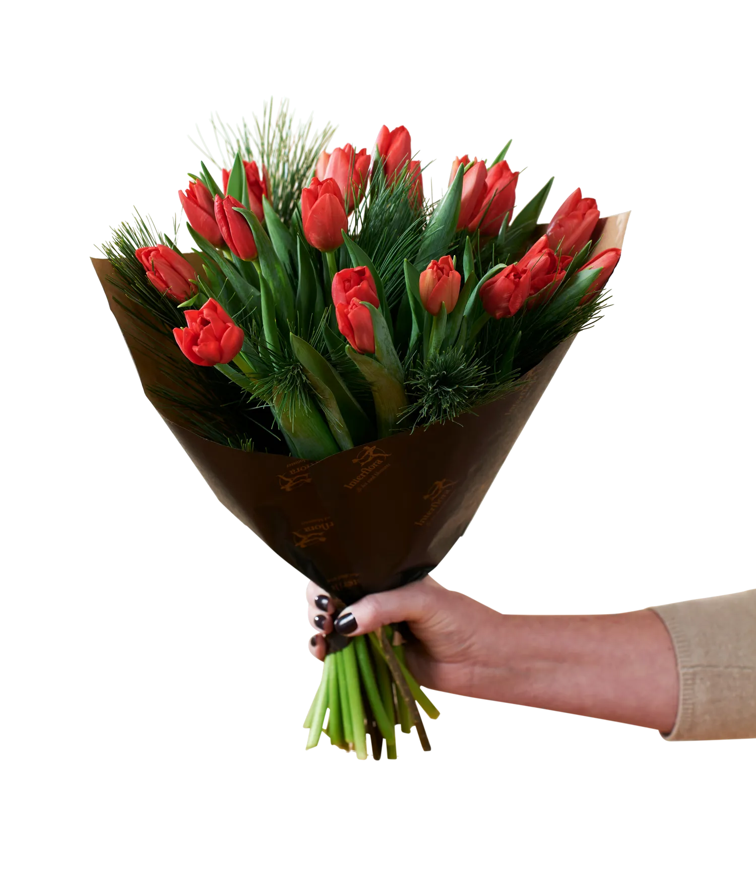 Christmas Tulips Red - Norway