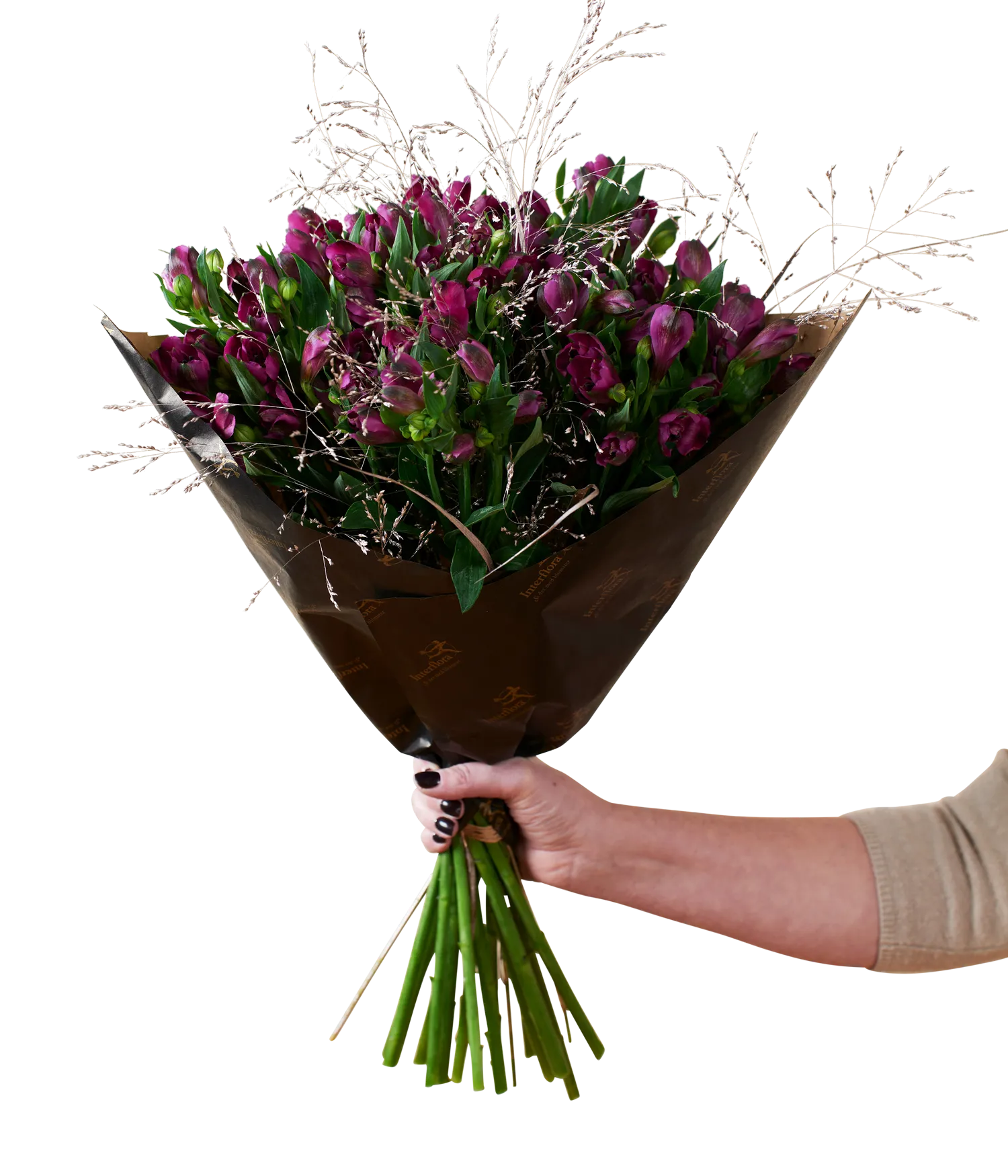 Amazing Alstromeria Purple - Norway