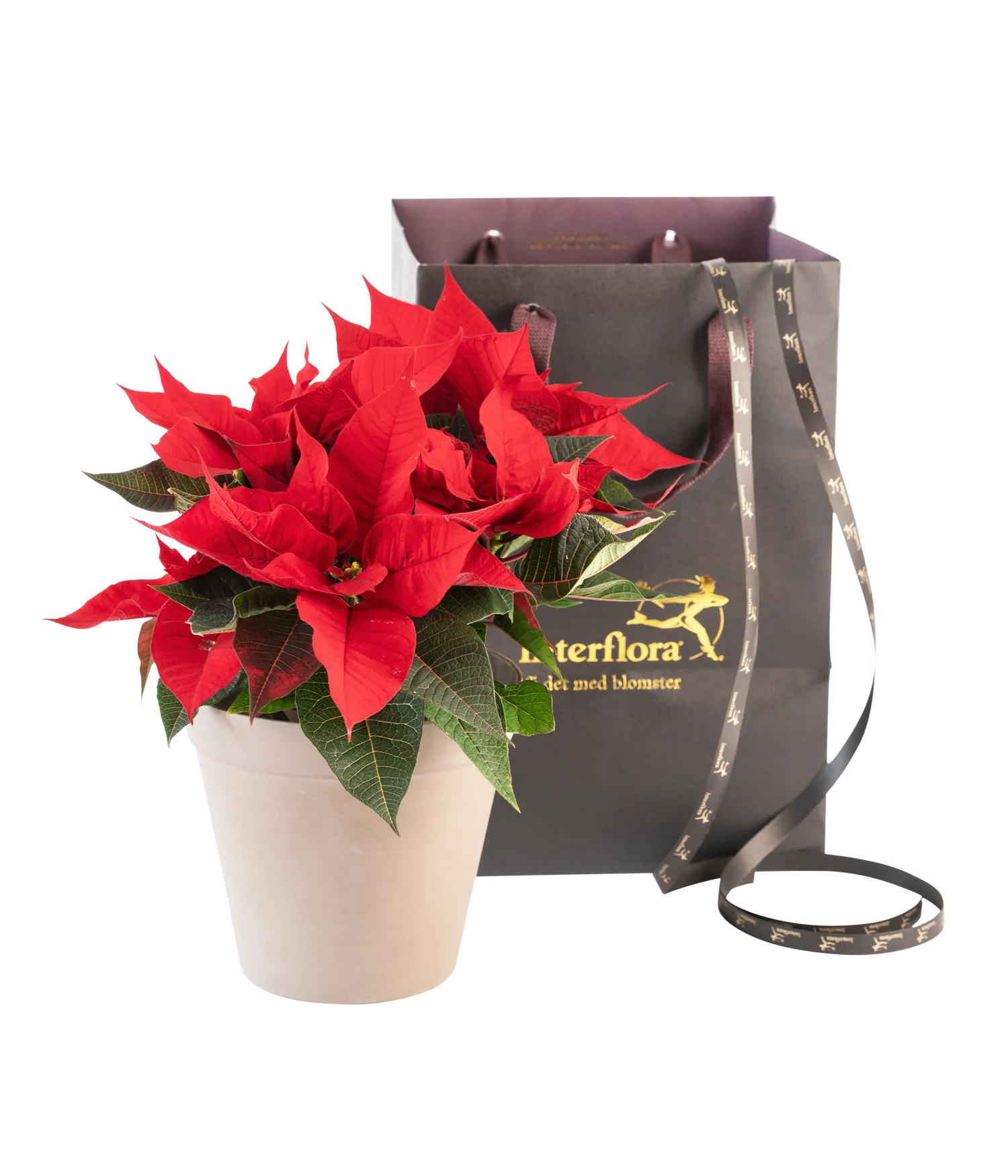 Christmas Tradition Red - Norway