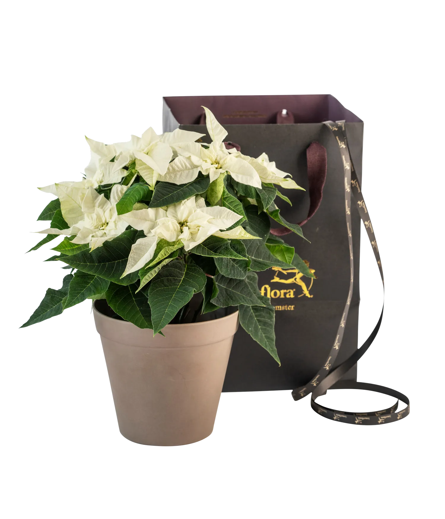 Christmas Tradition White - Norway