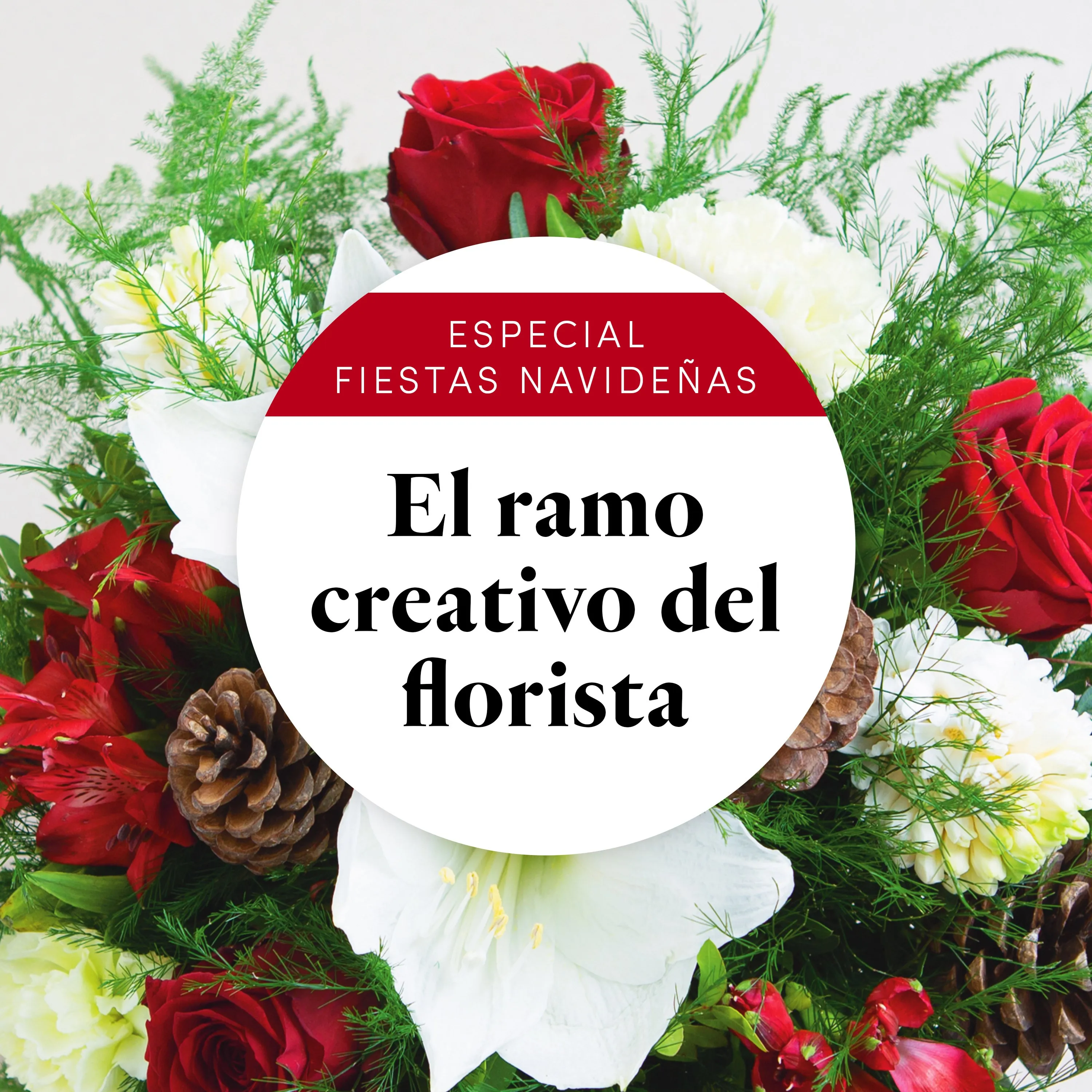 Creative Winter bouquet - Spain