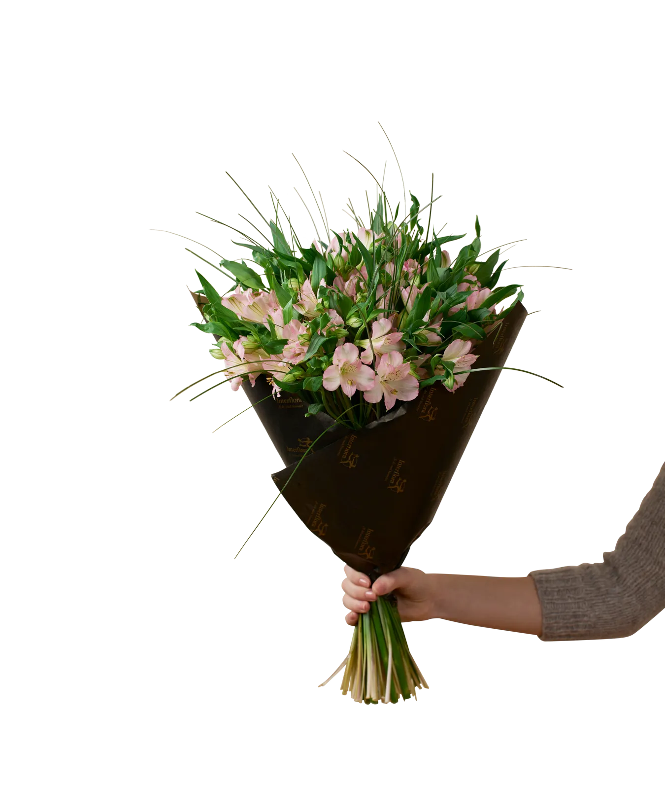 Gorgeous Pink - Norway