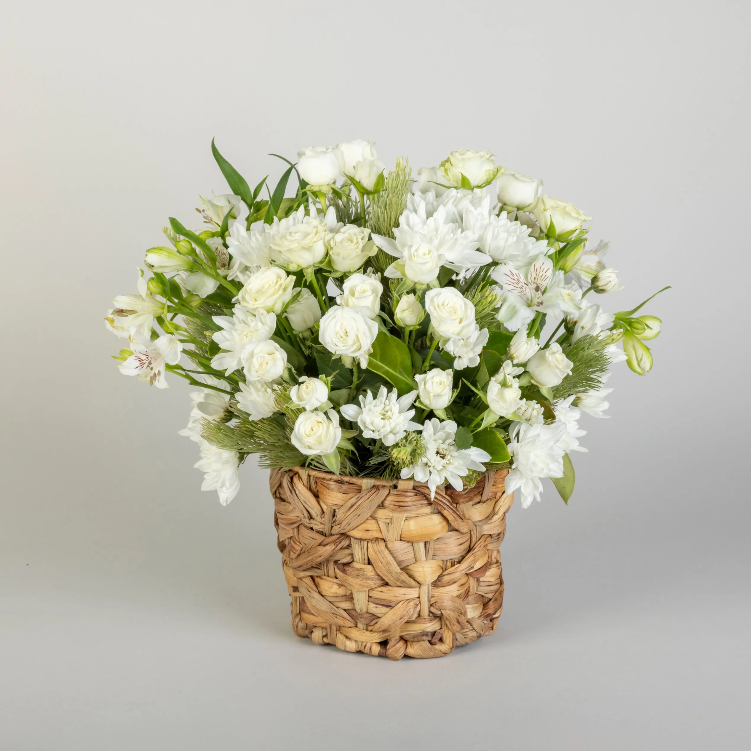 Sympathy Rose Basket - Australia