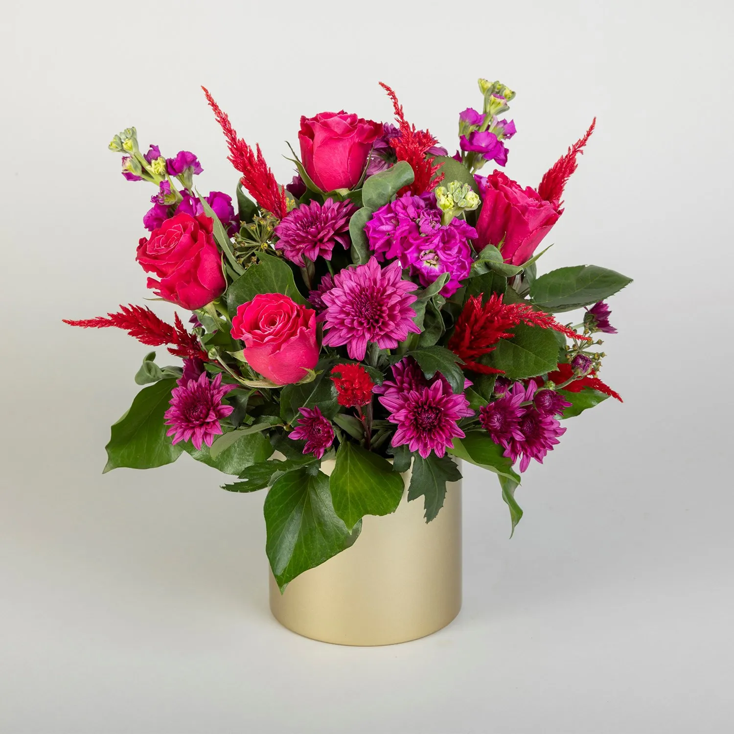 Flourishing Pink Roses - Australia