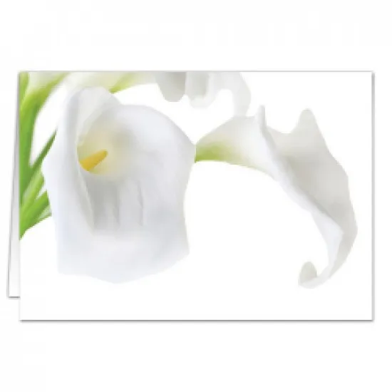 Calla
