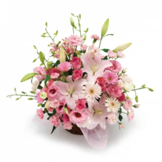 brilliant arrangement